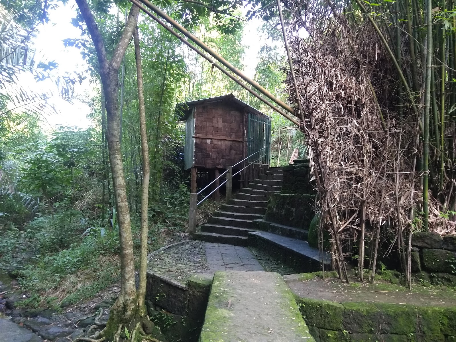 Mawlynnong Village Tour