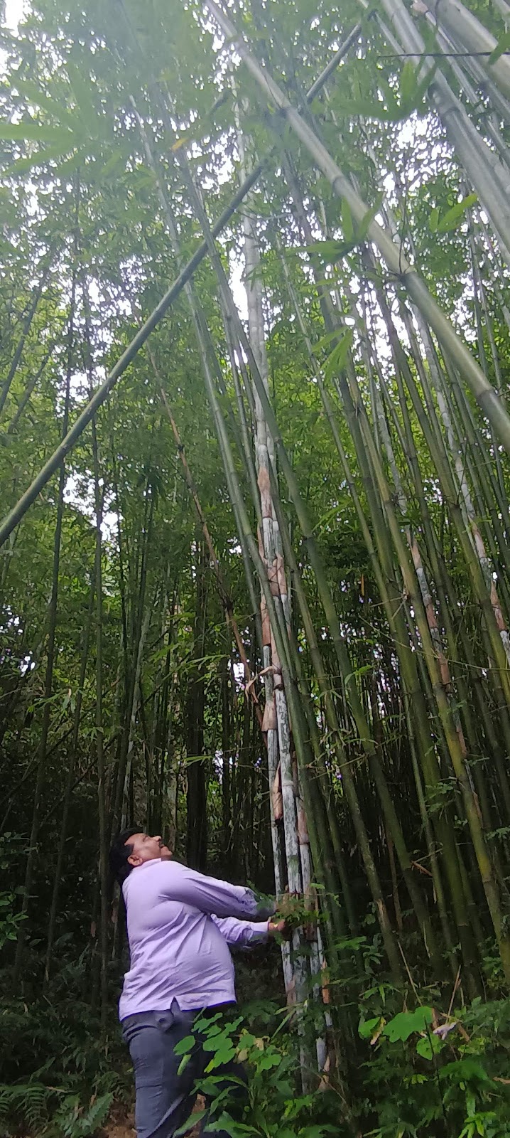 Mawlynnong Village Tour