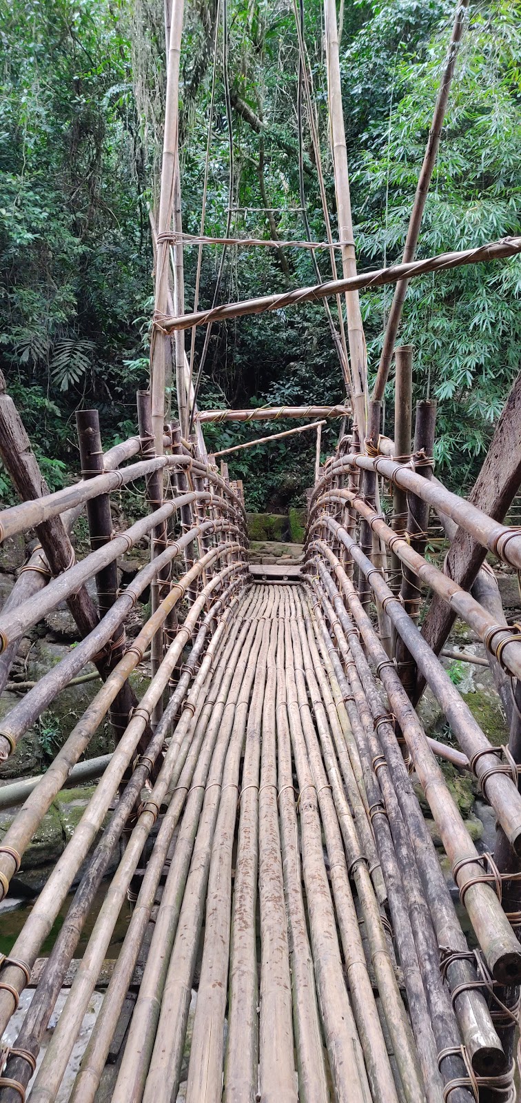 Mawlynnong Village Tour