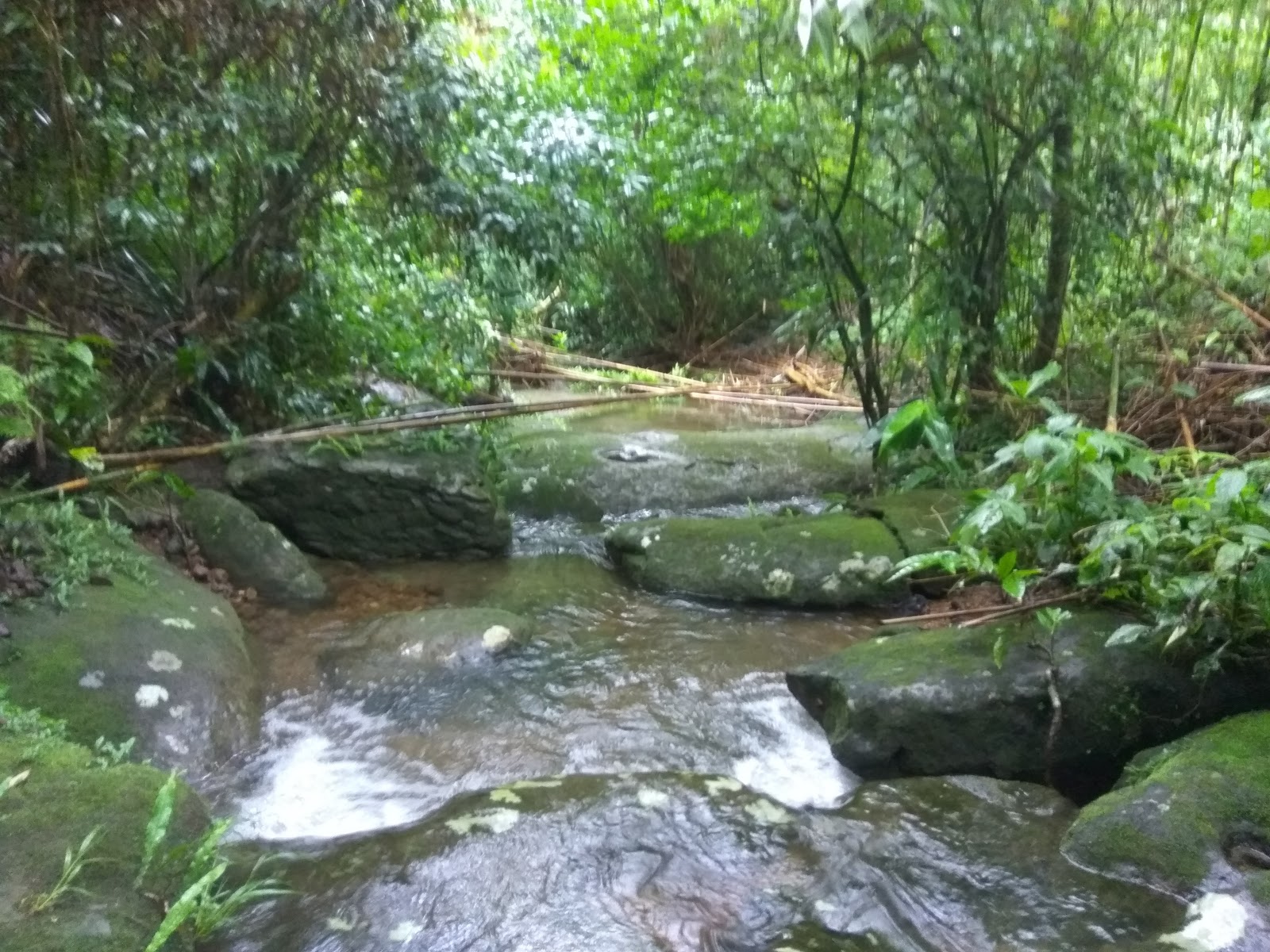 Mawlynnong Waterfall