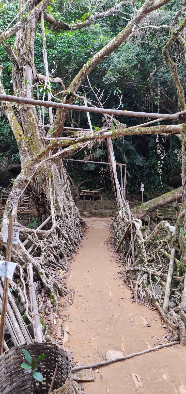 Mawlynnong Waterfall