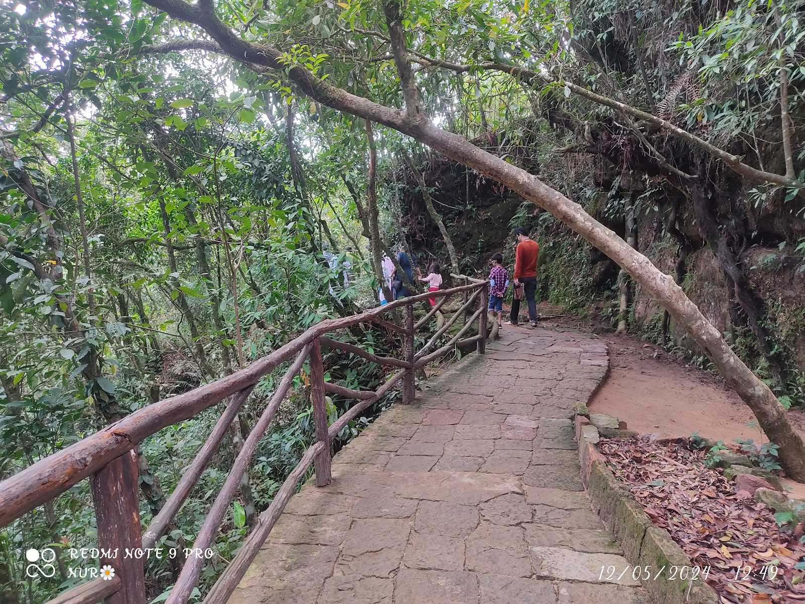 Donkupar's Viewpoint