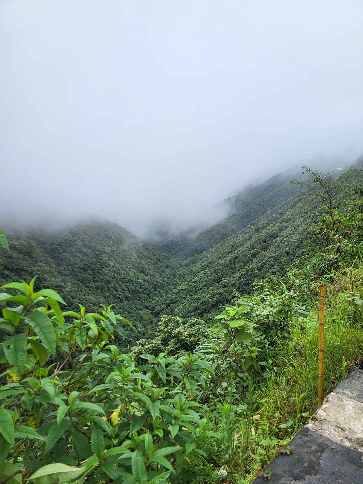 Donkupar's Viewpoint