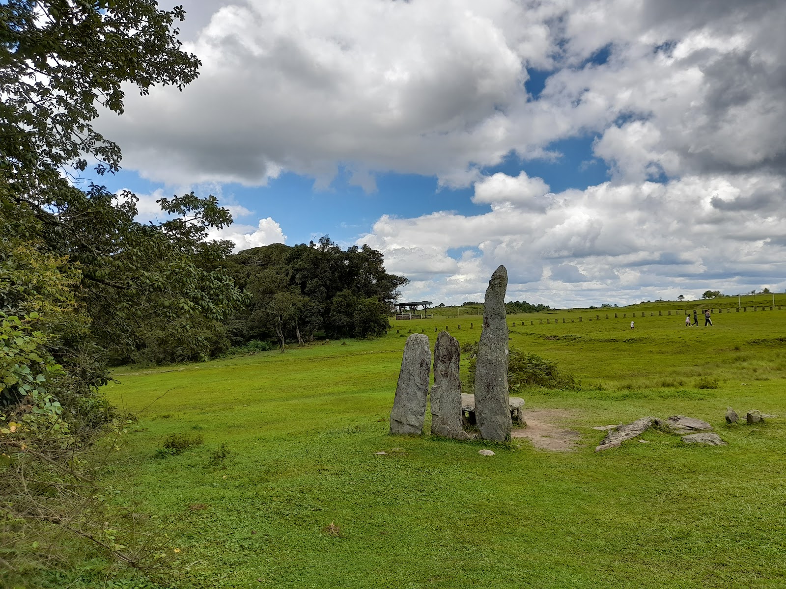 Mawphlang Sacred Grove