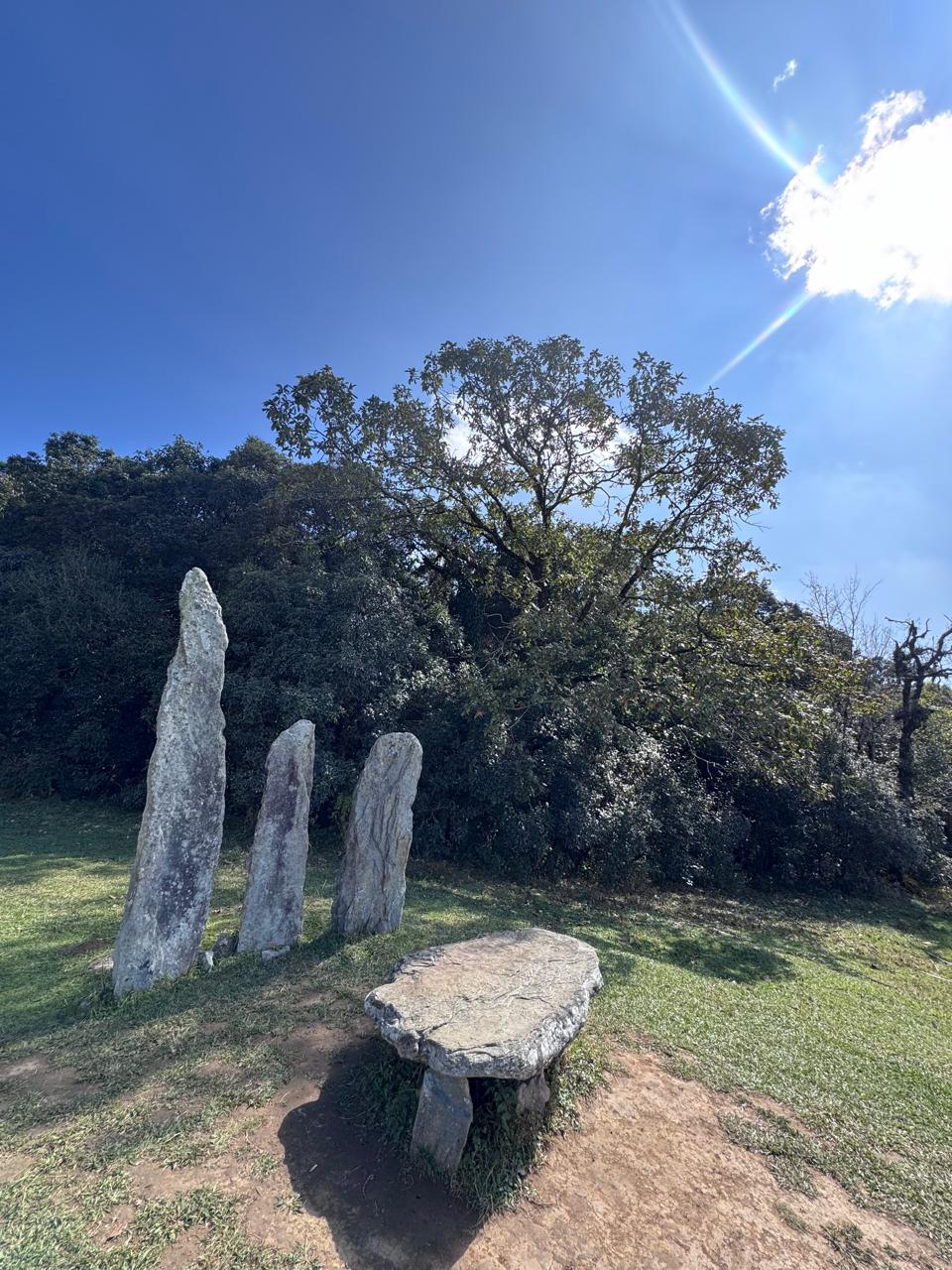 Mawphlang Sacred Grove