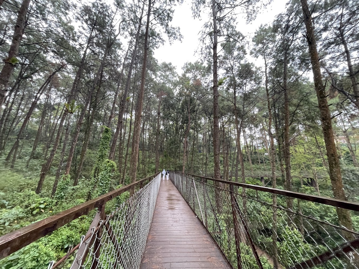 Umiam Lake (Barapani)
