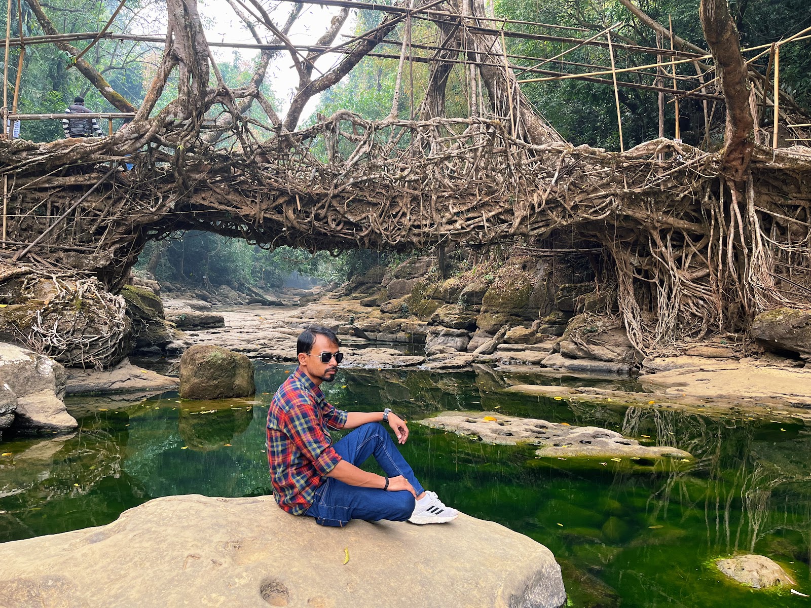 Living Root Bridges