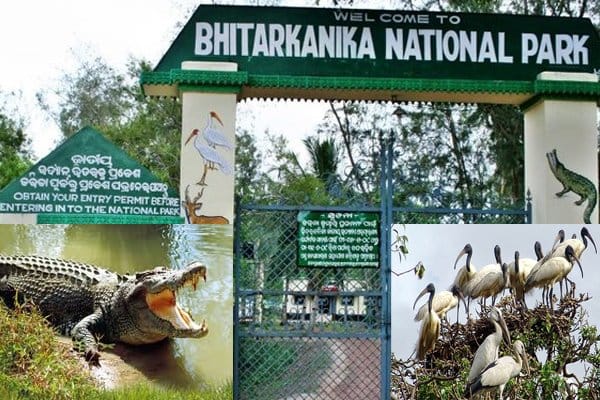 Bhitarkanika National Park
