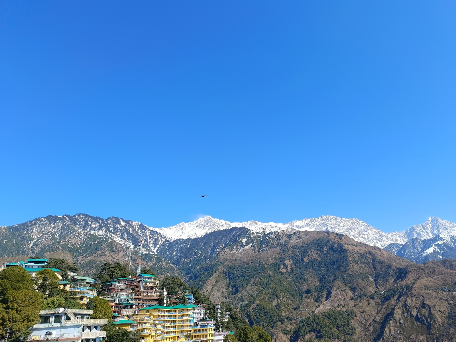Tsuglagkhang Complex Dalai Lama Temple