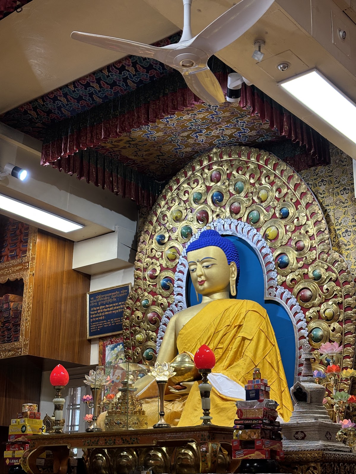 Mcleod Ganj - A Cultural and Adventure Hub in Himachal Pradesh