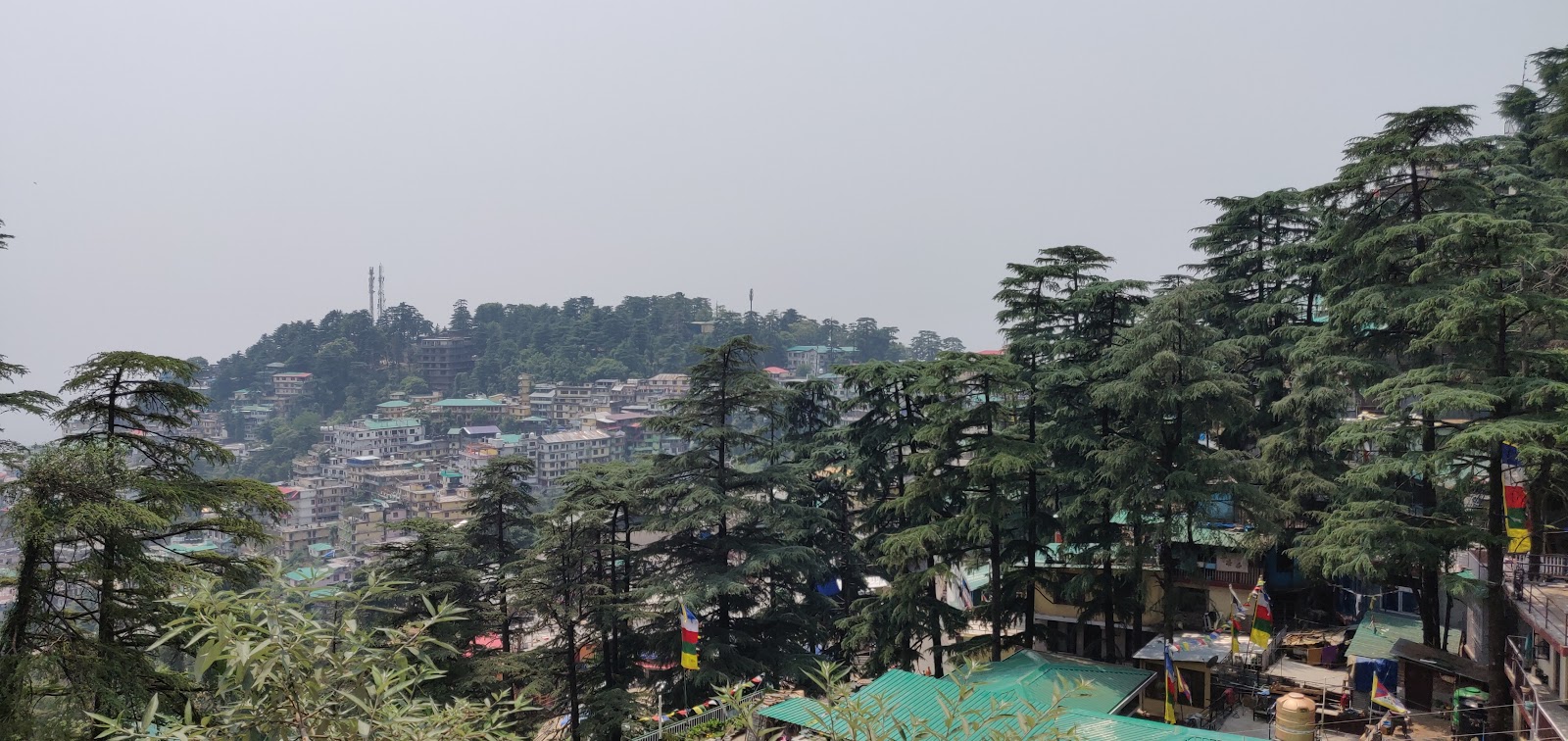 Dharamkot
