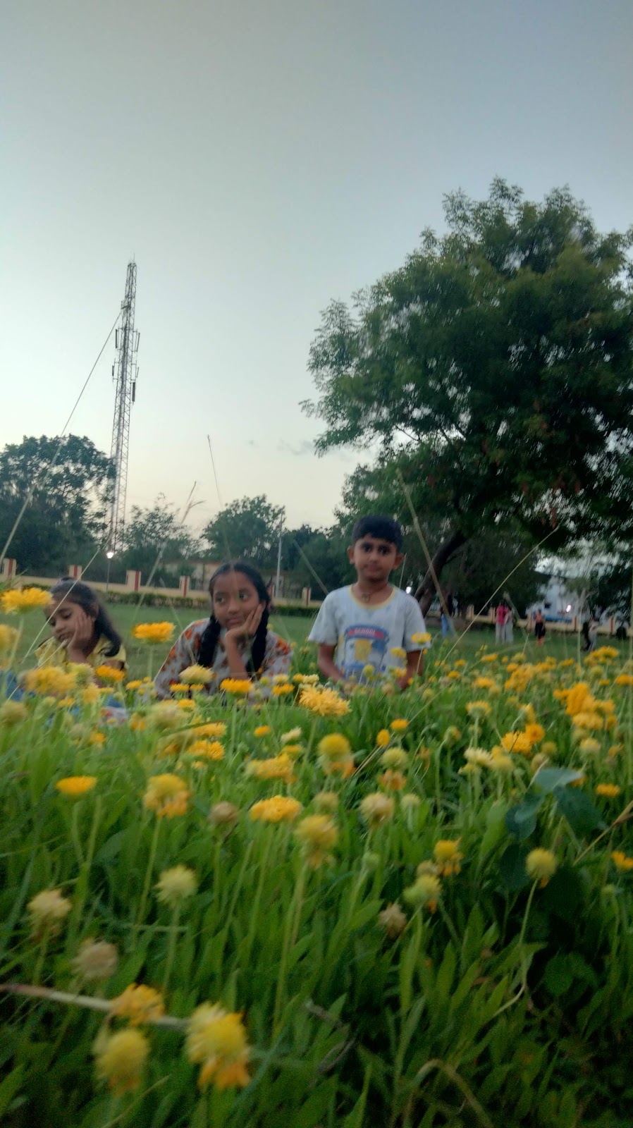 Madhava Rao Park