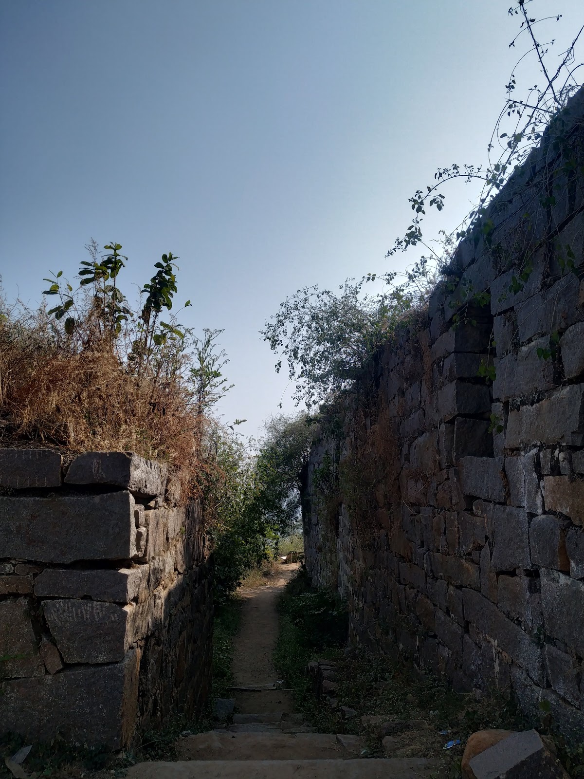 Medak Fort