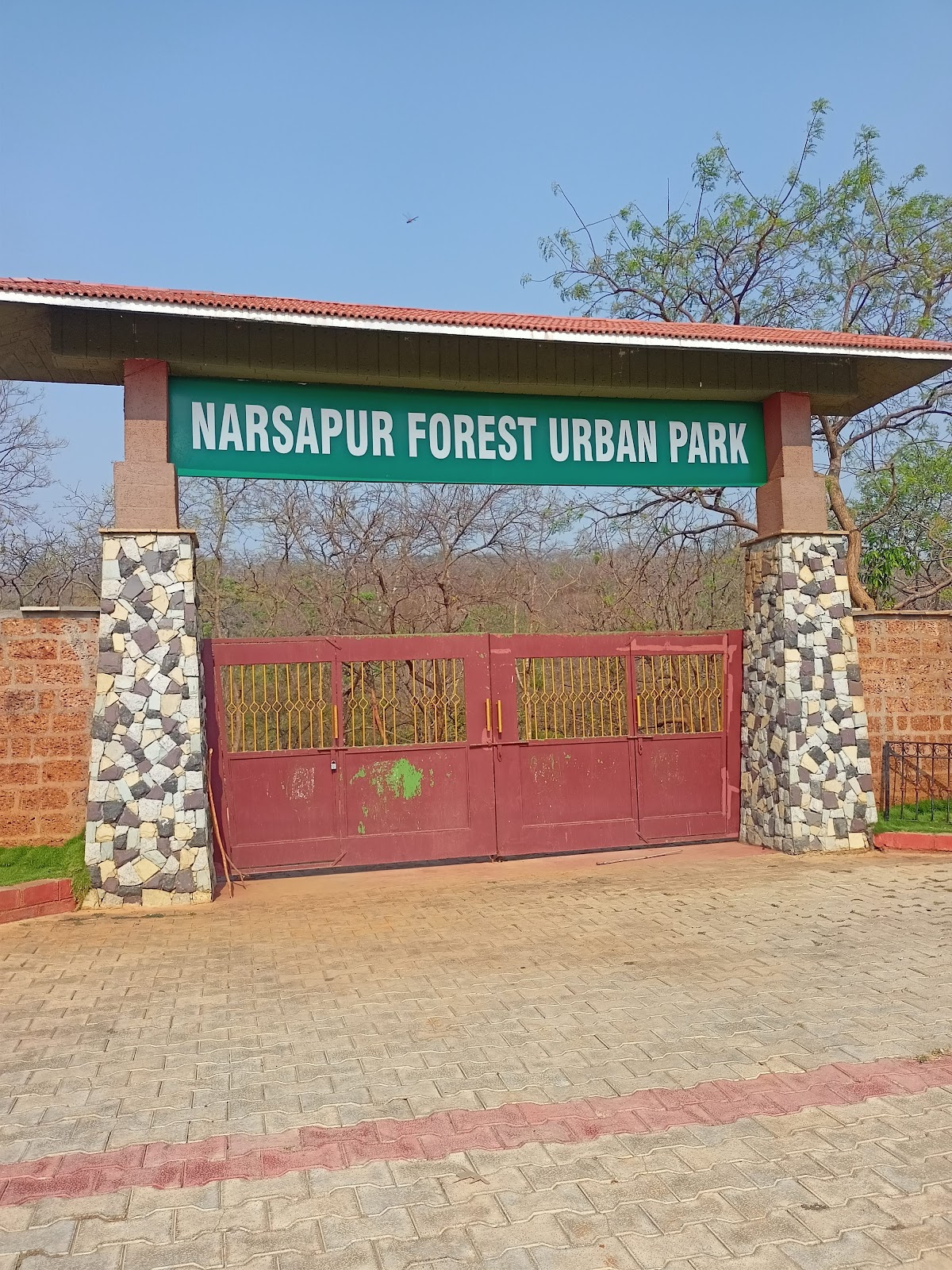 Narsapur Forest