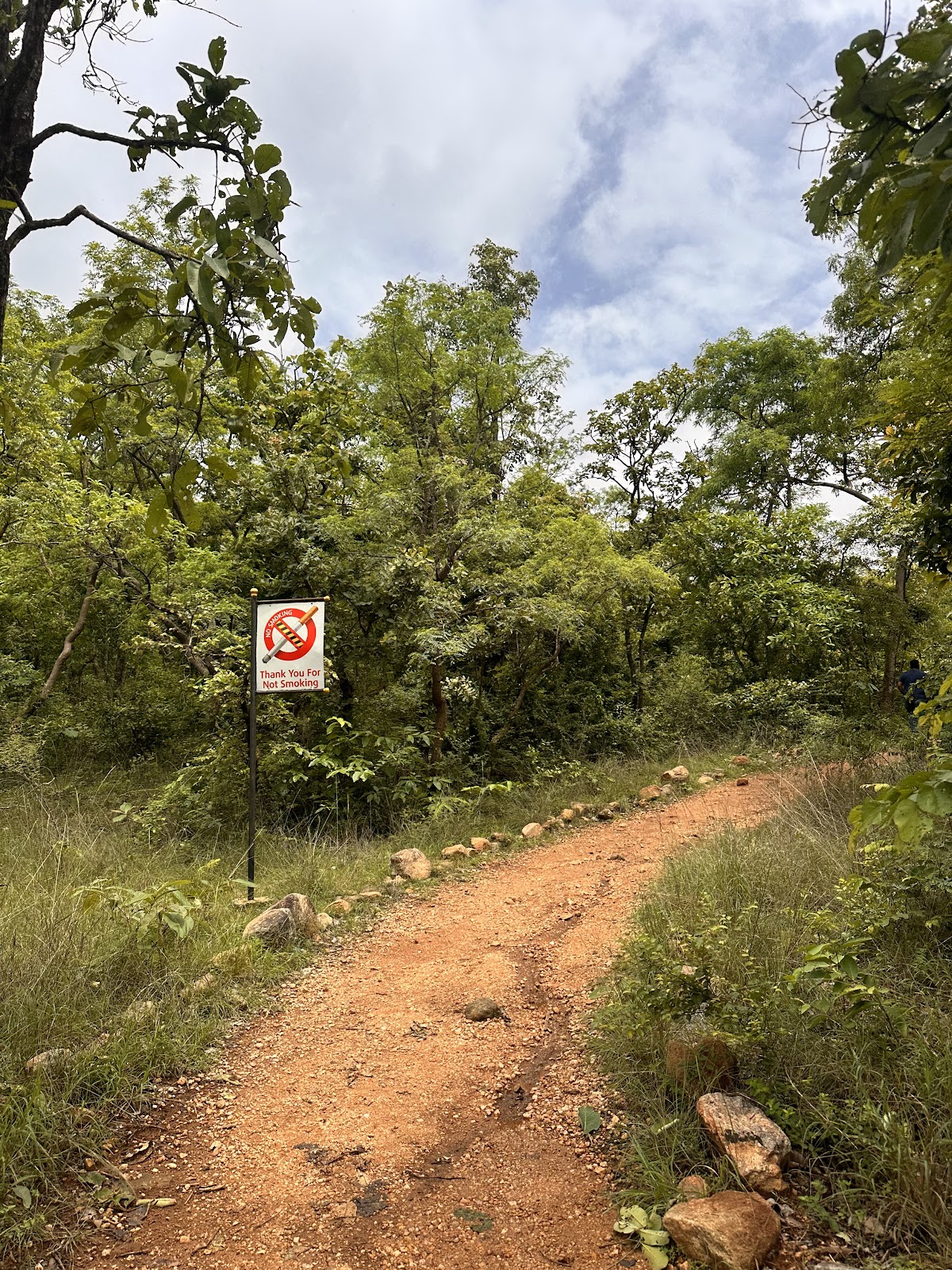 Narsapur Forest