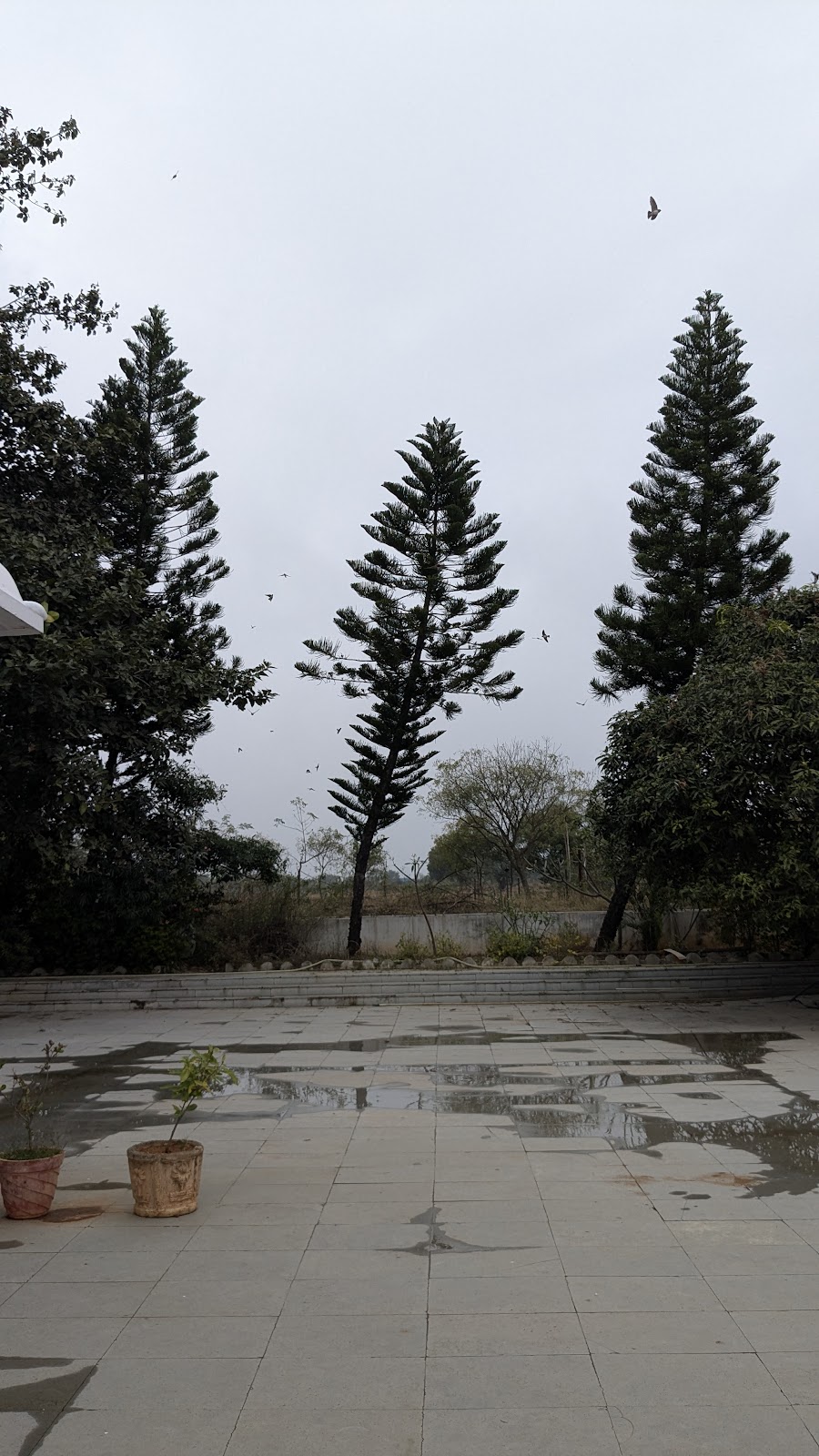 Temple Walk Route Medchal