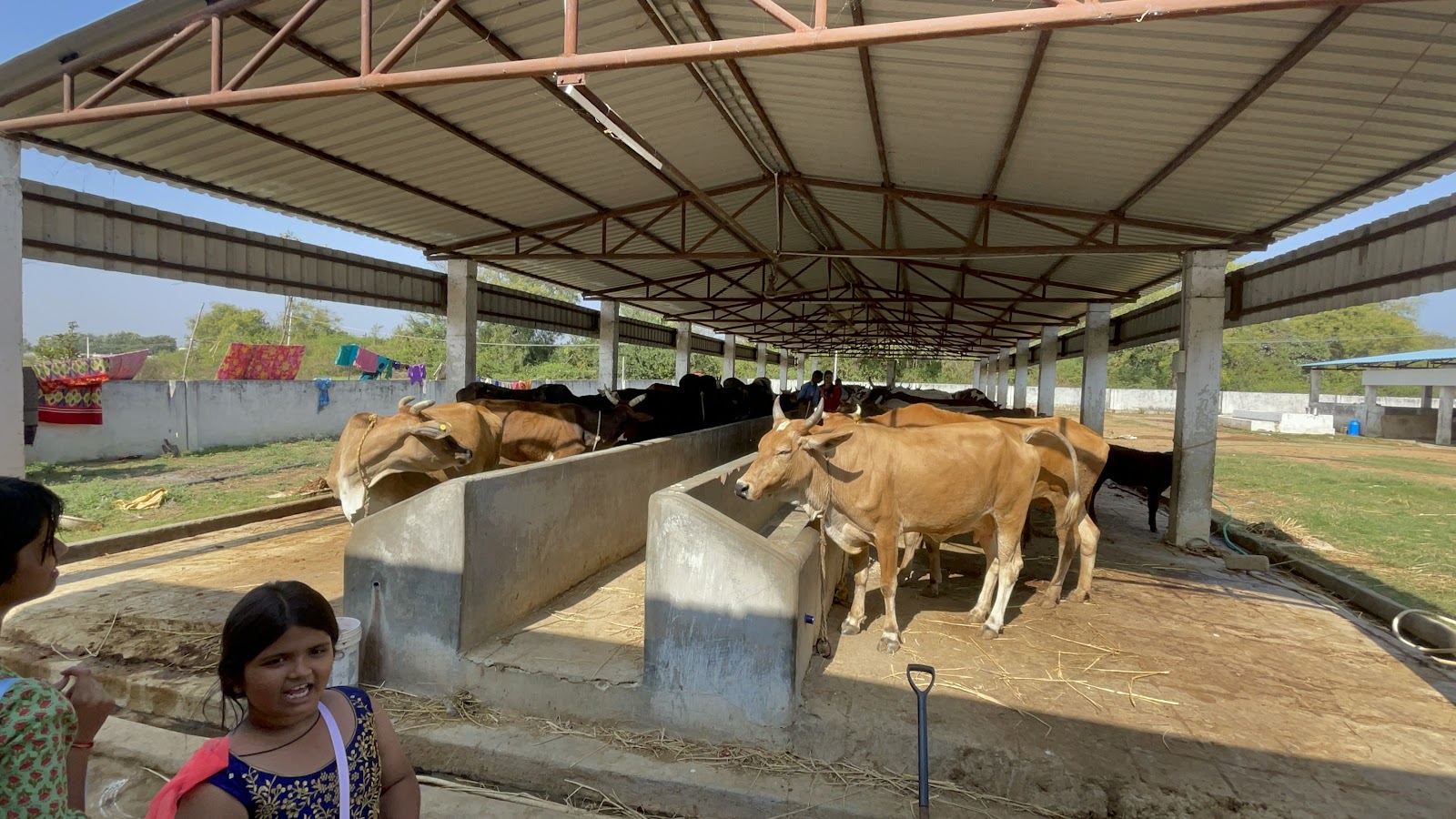 Temple Walk Route Medchal