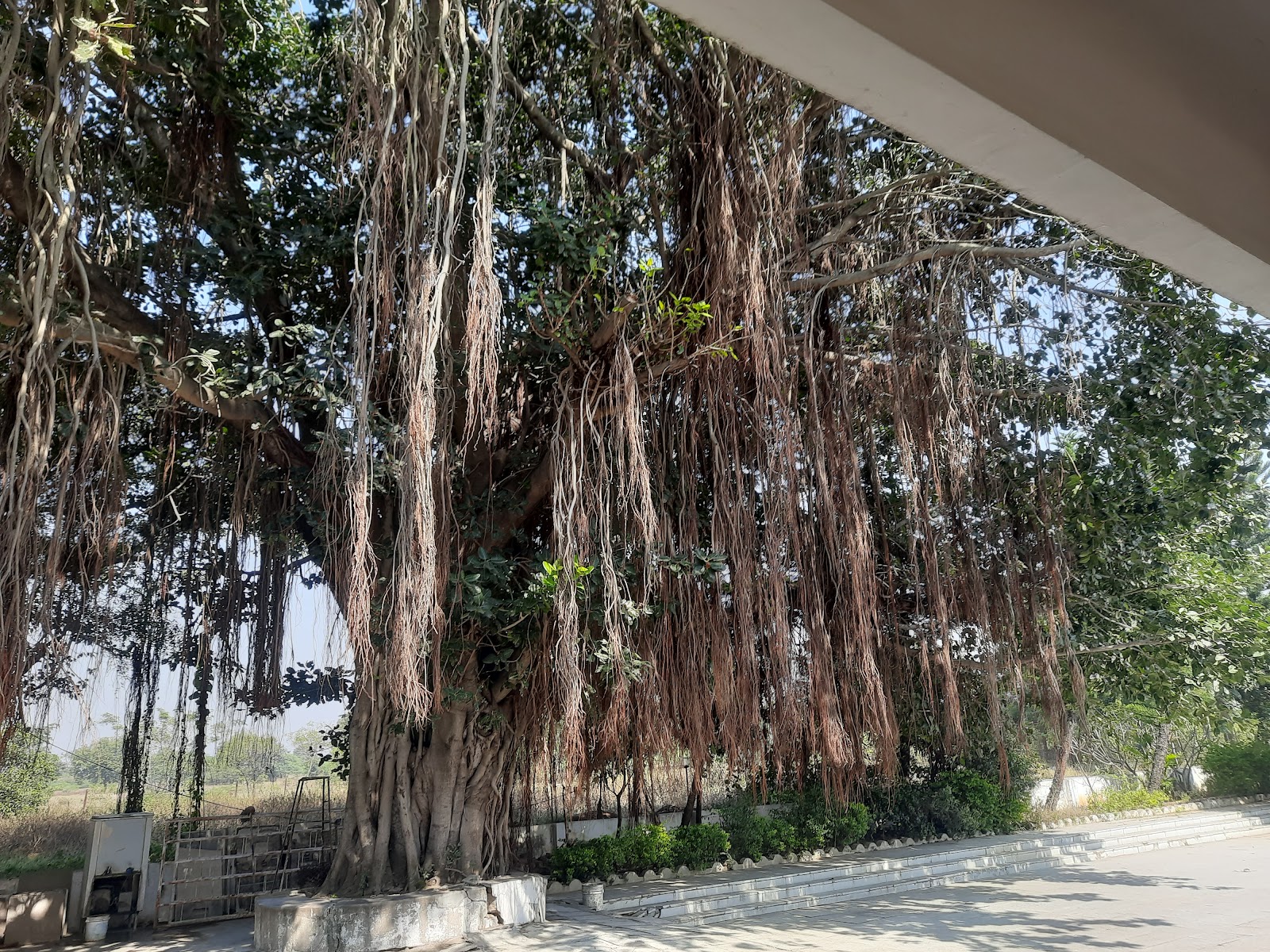 Temple Walk Route Medchal