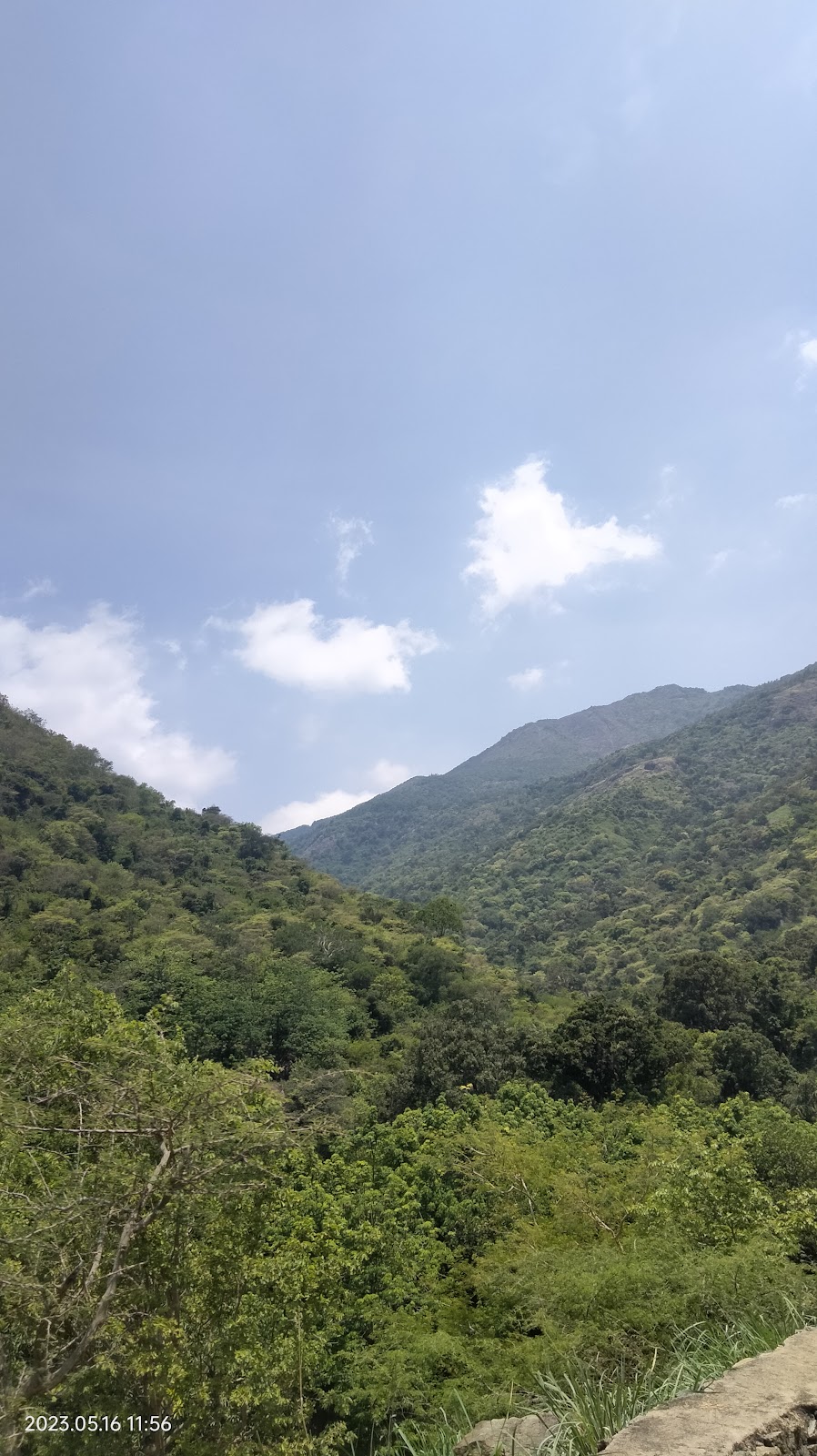 Chinna Suruli Falls