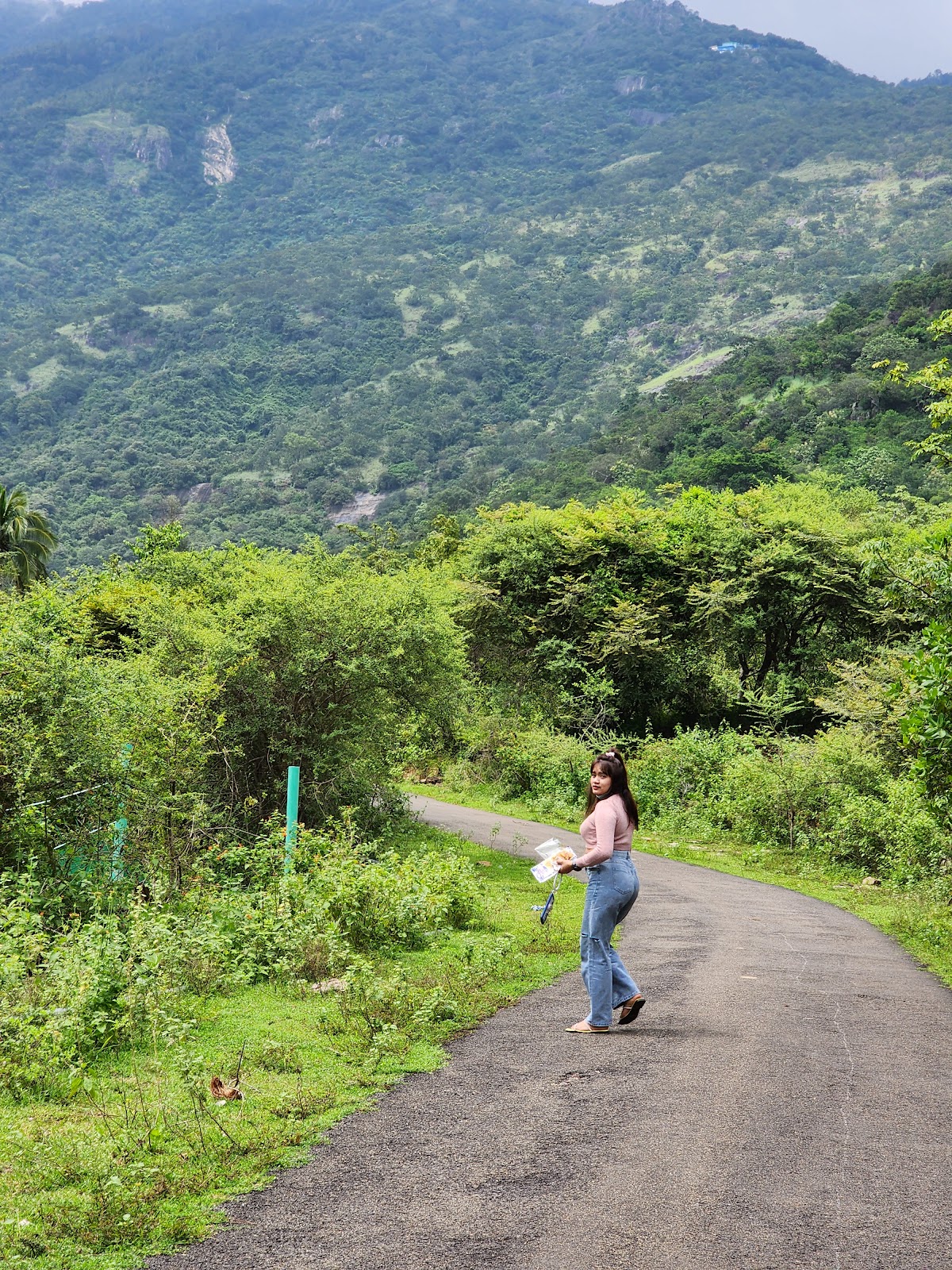 Chinna Suruli Falls