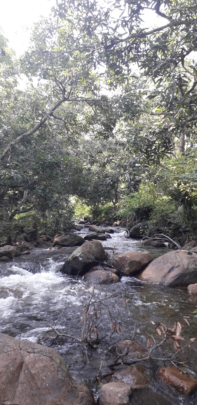 Kumbakkarai Falls