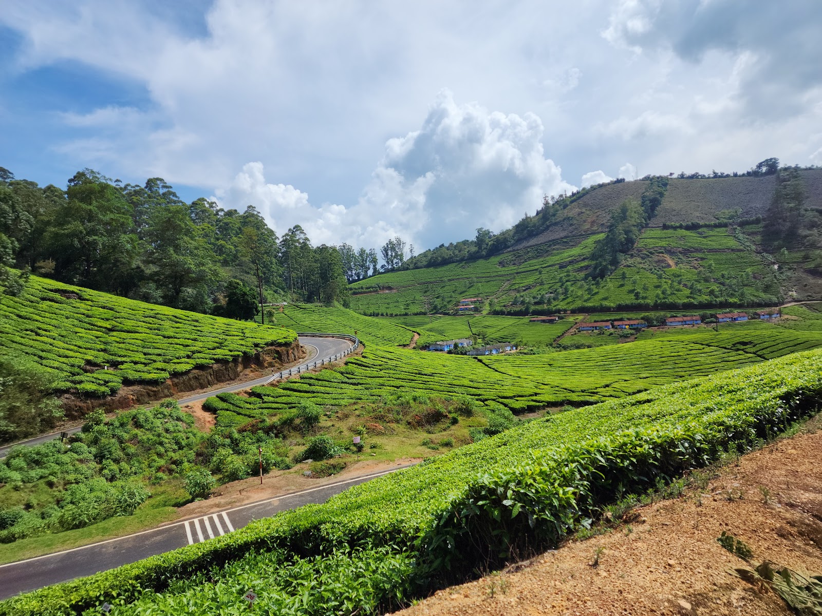 Meghamalai Viewpoint