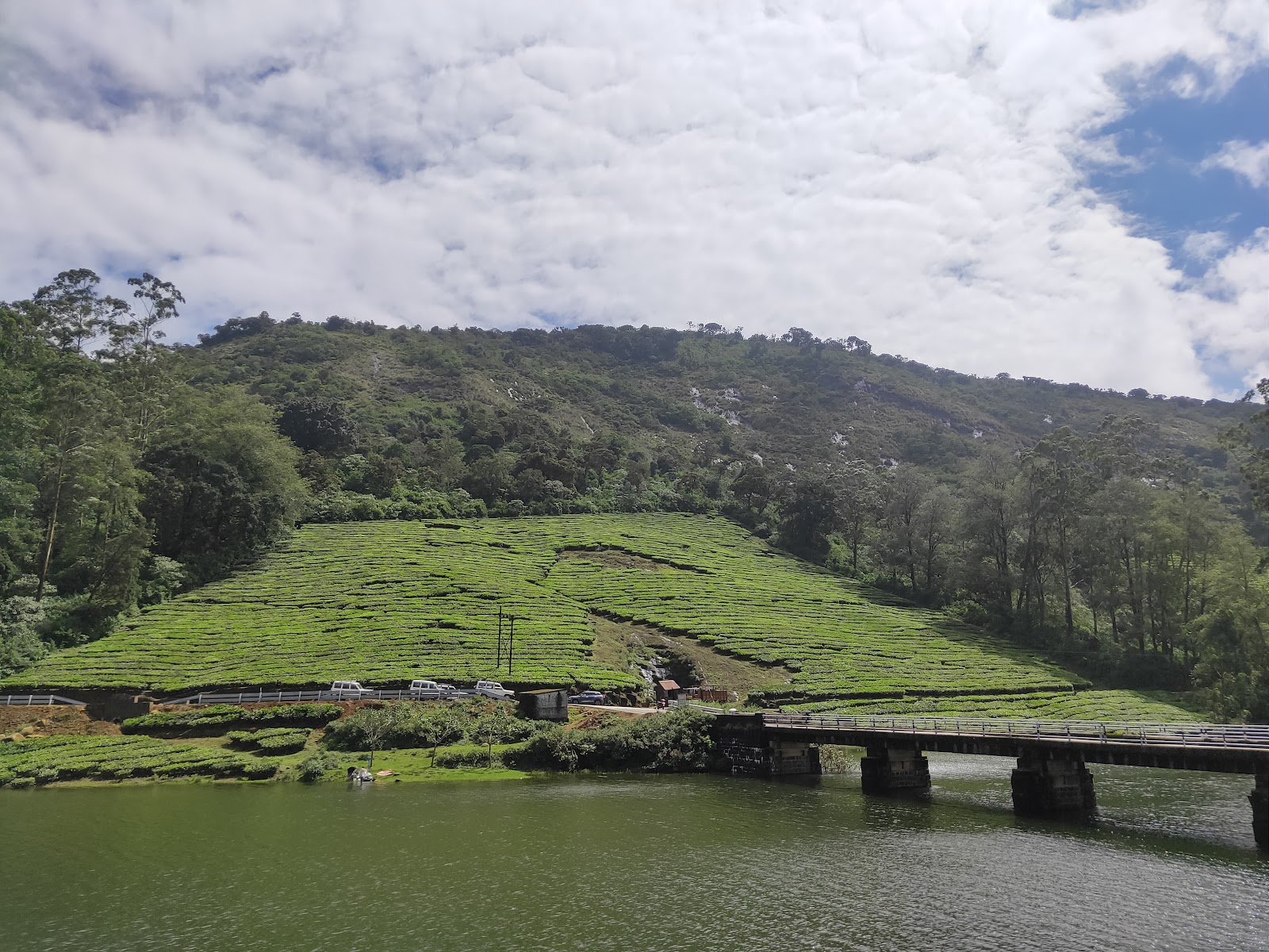 Meghamalai Wildlife Sanctuary