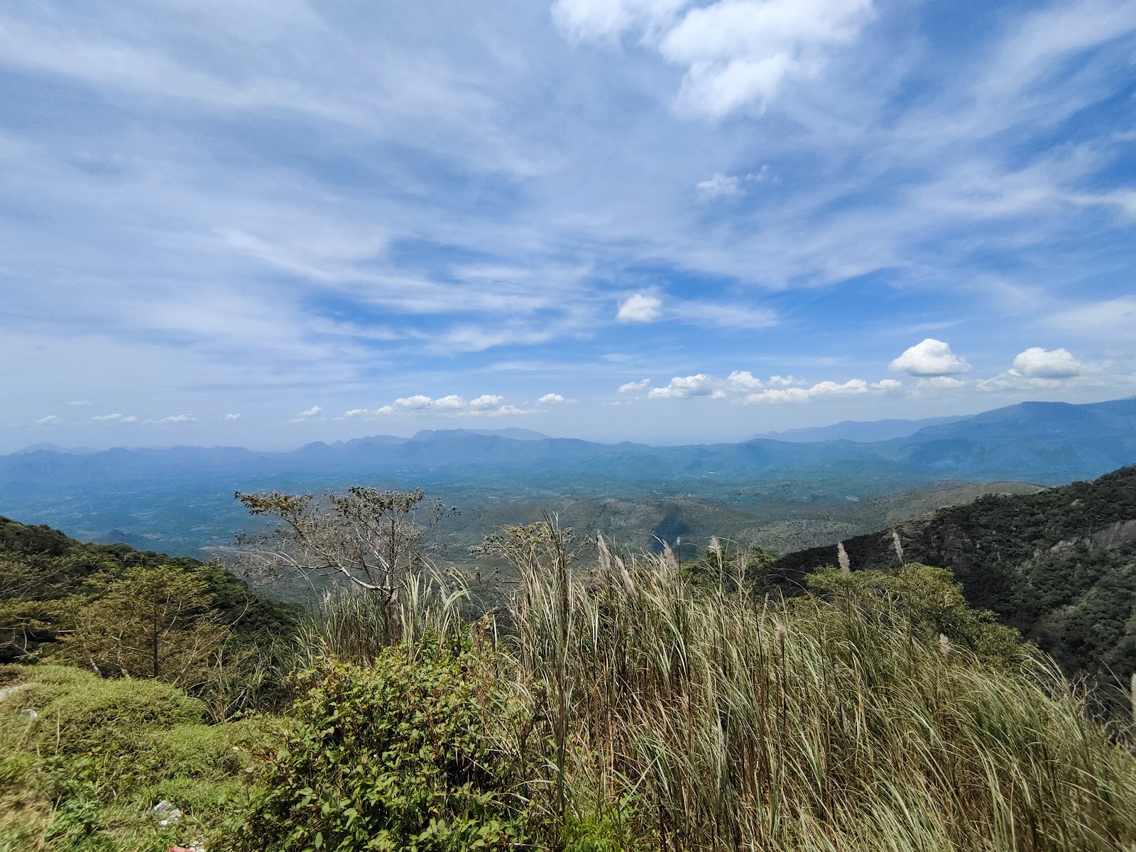 Meghamalai Wildlife Sanctuary