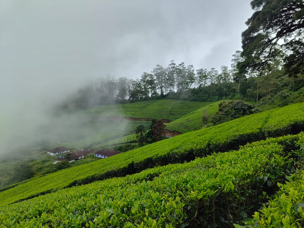 Meghamalai Wildlife Sanctuary
