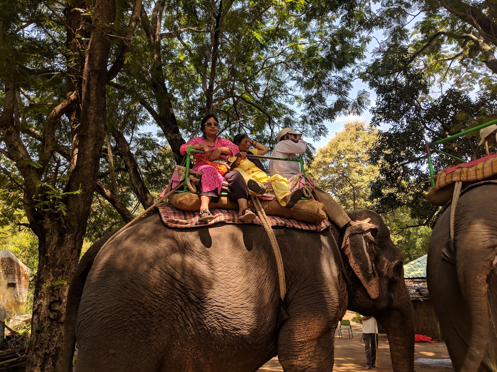 Melghat National Park