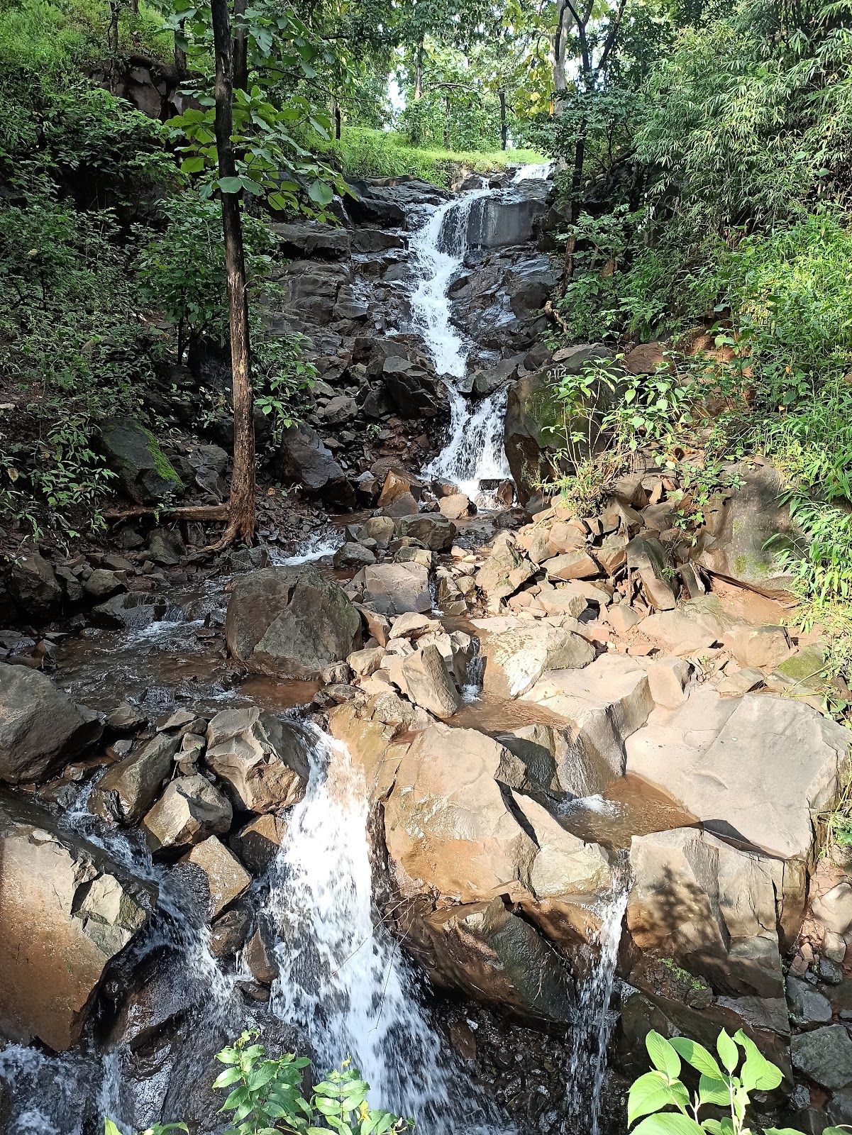 Melghat National Park