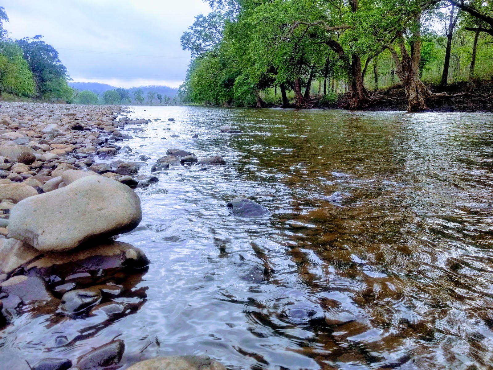 Melghat National Park