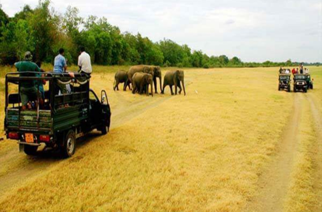 Gugamal National Park