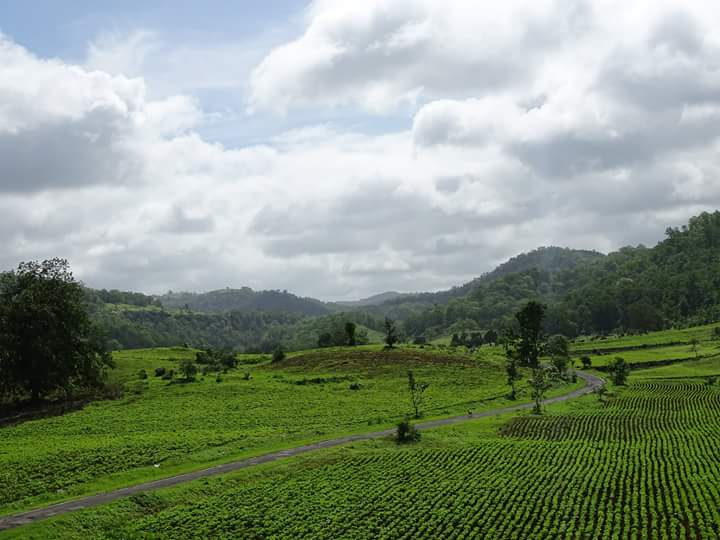 Gugamal National Park