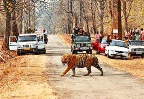 Gugamal National Park