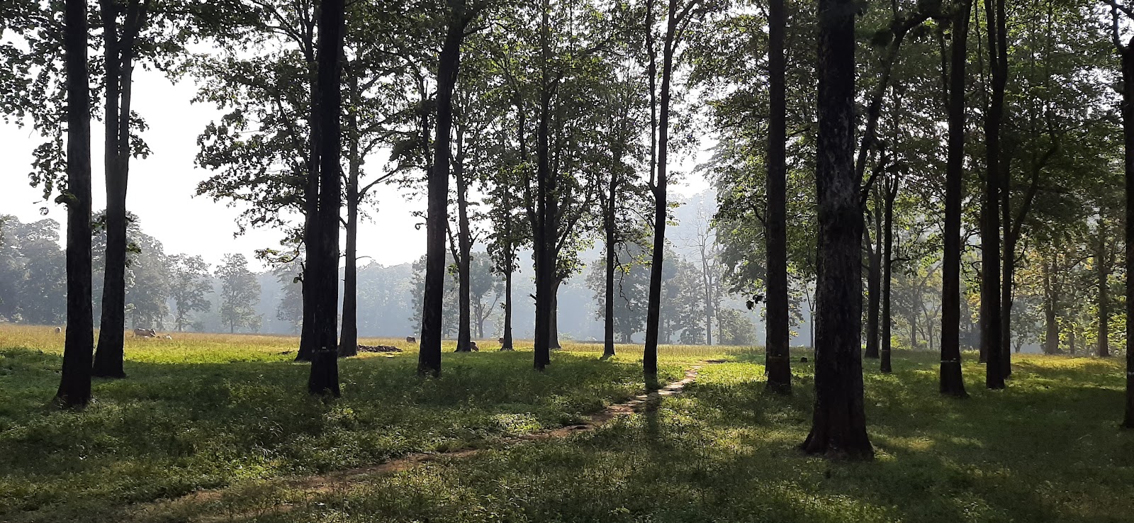 Gugamal National Park