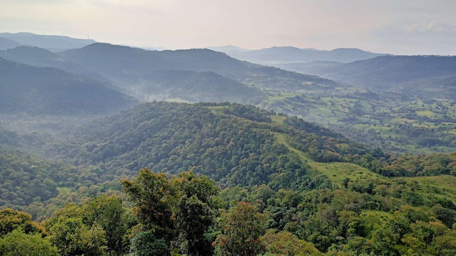 Local Tribal Villages