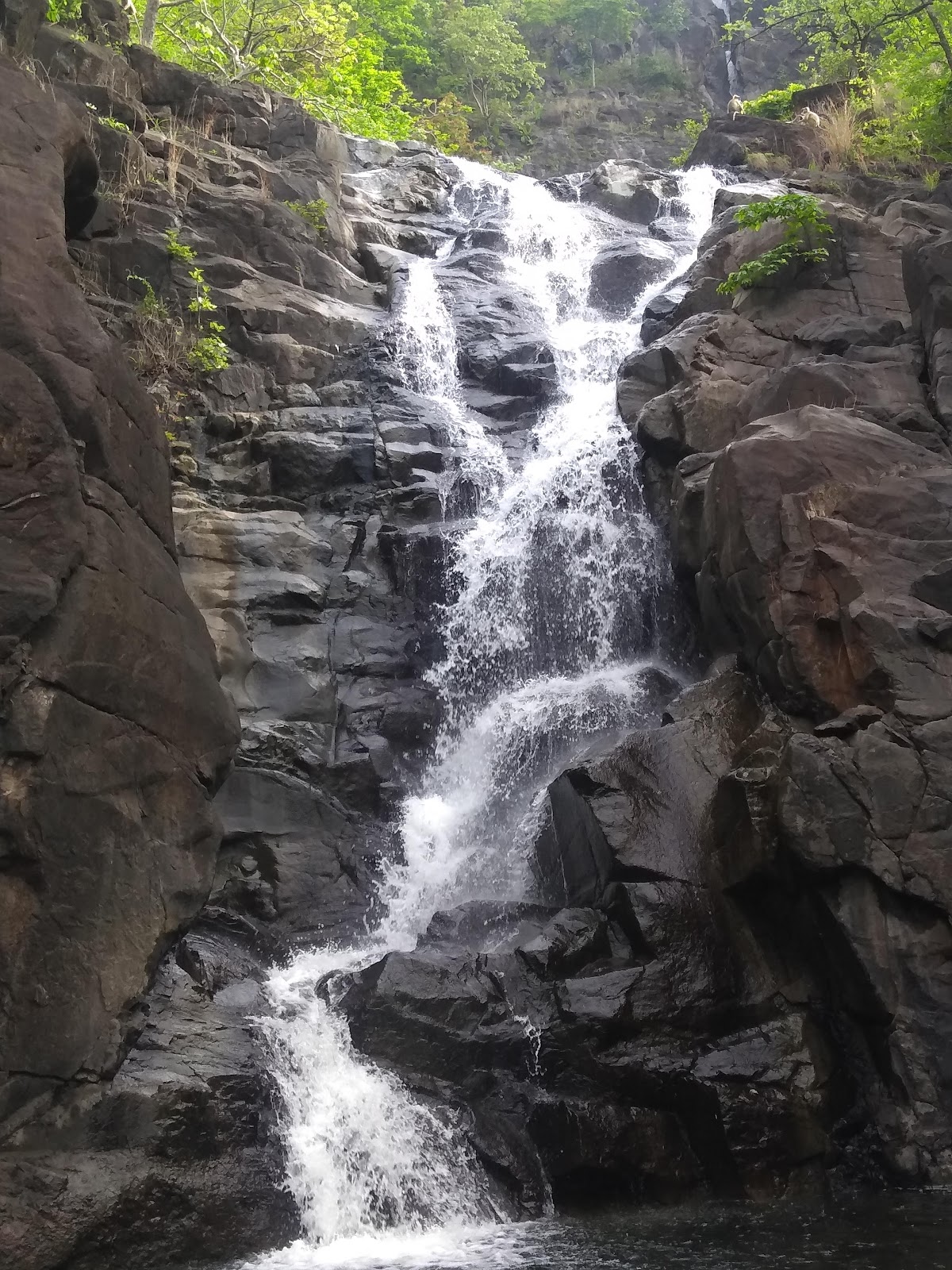 Melghat Tiger Reserve