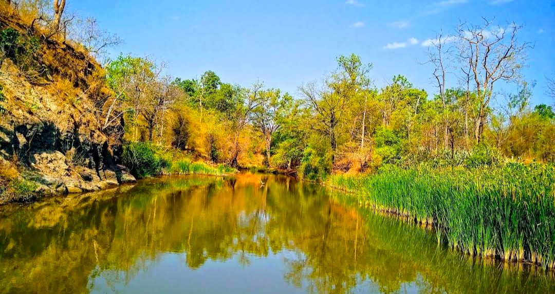 Tipeshwar Wildlife Sanctuary