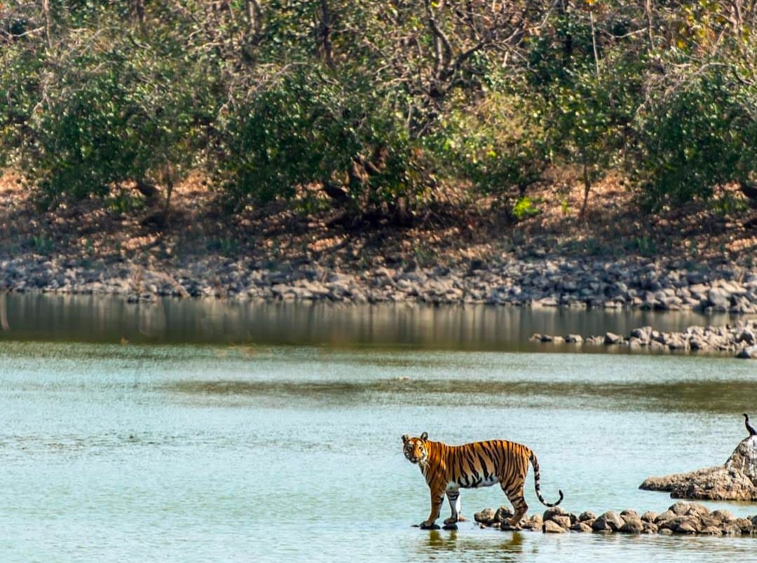 Tipeshwar Wildlife Sanctuary