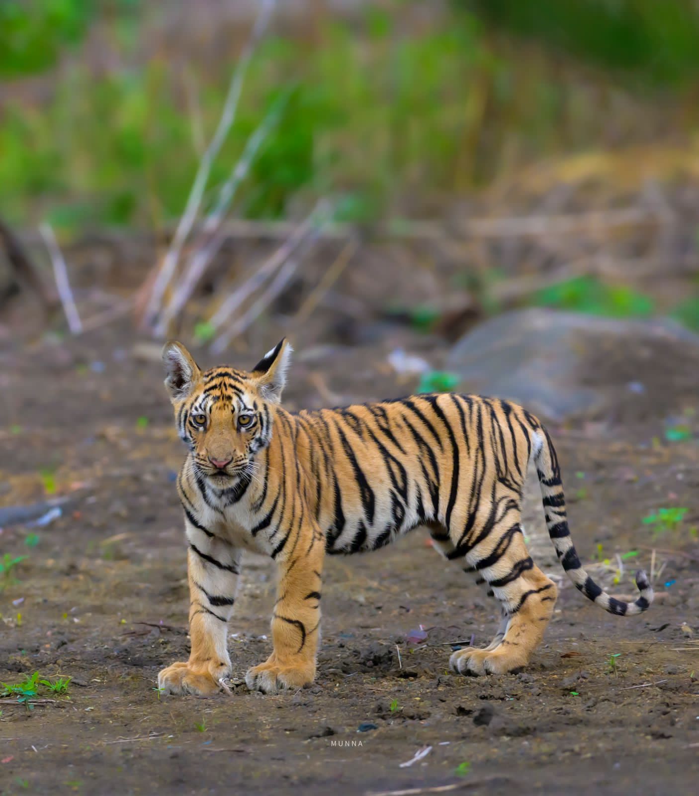 Tipeshwar Wildlife Sanctuary