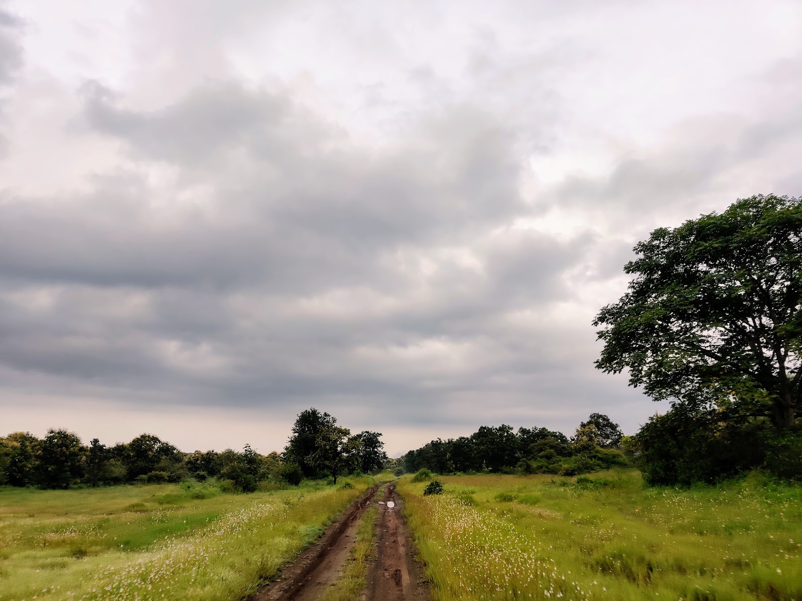 Tipeshwar Wildlife Sanctuary