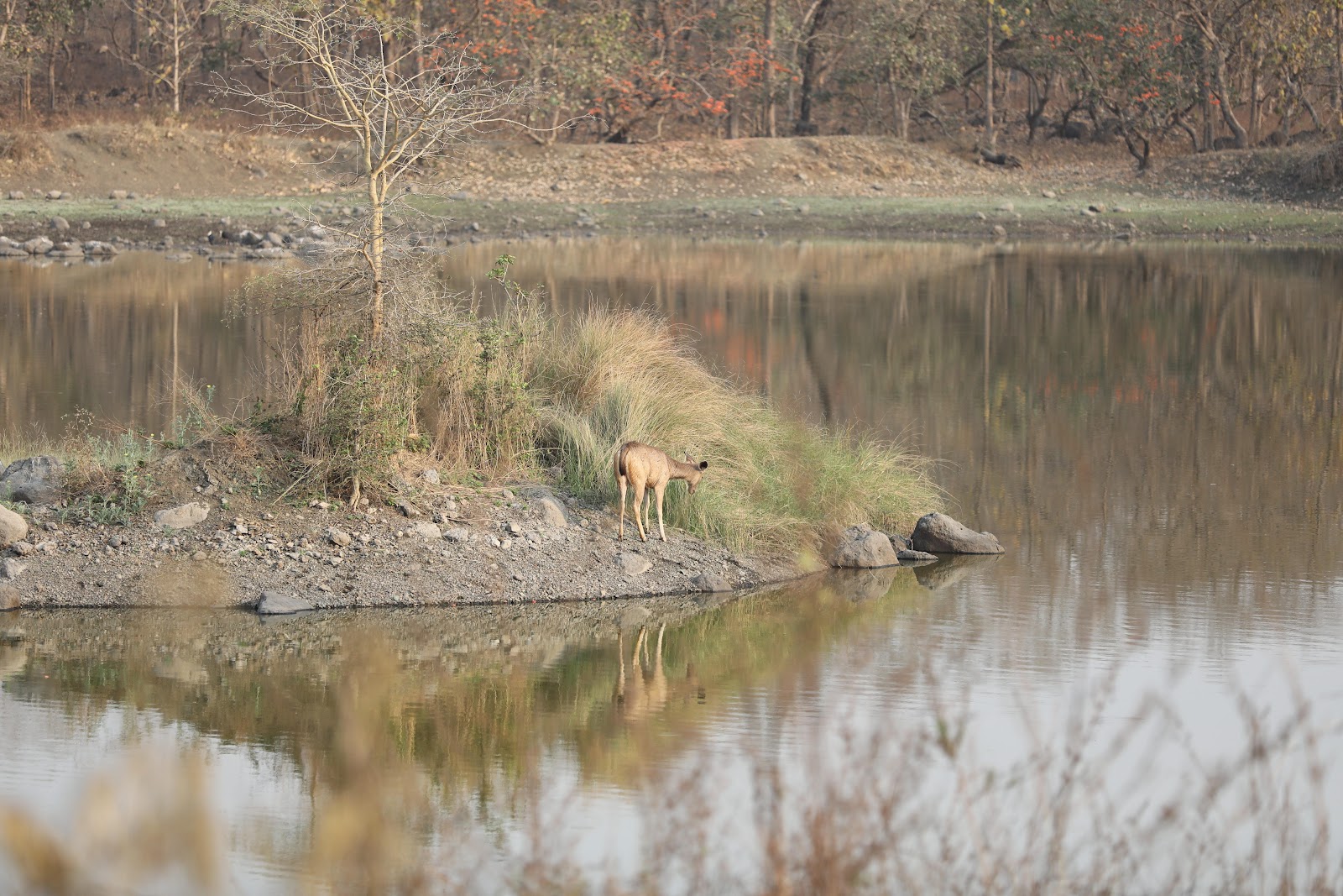 Tipeshwar Wildlife Sanctuary