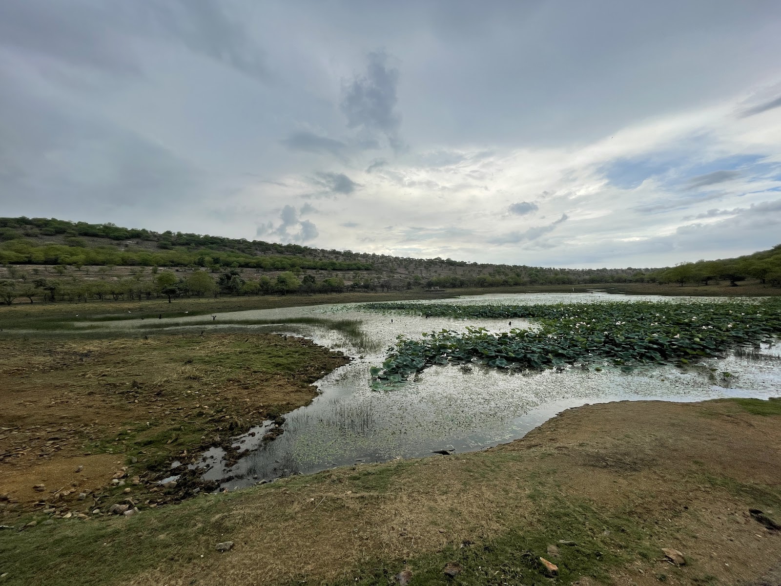 Bassi Wildlife Sanctuary
