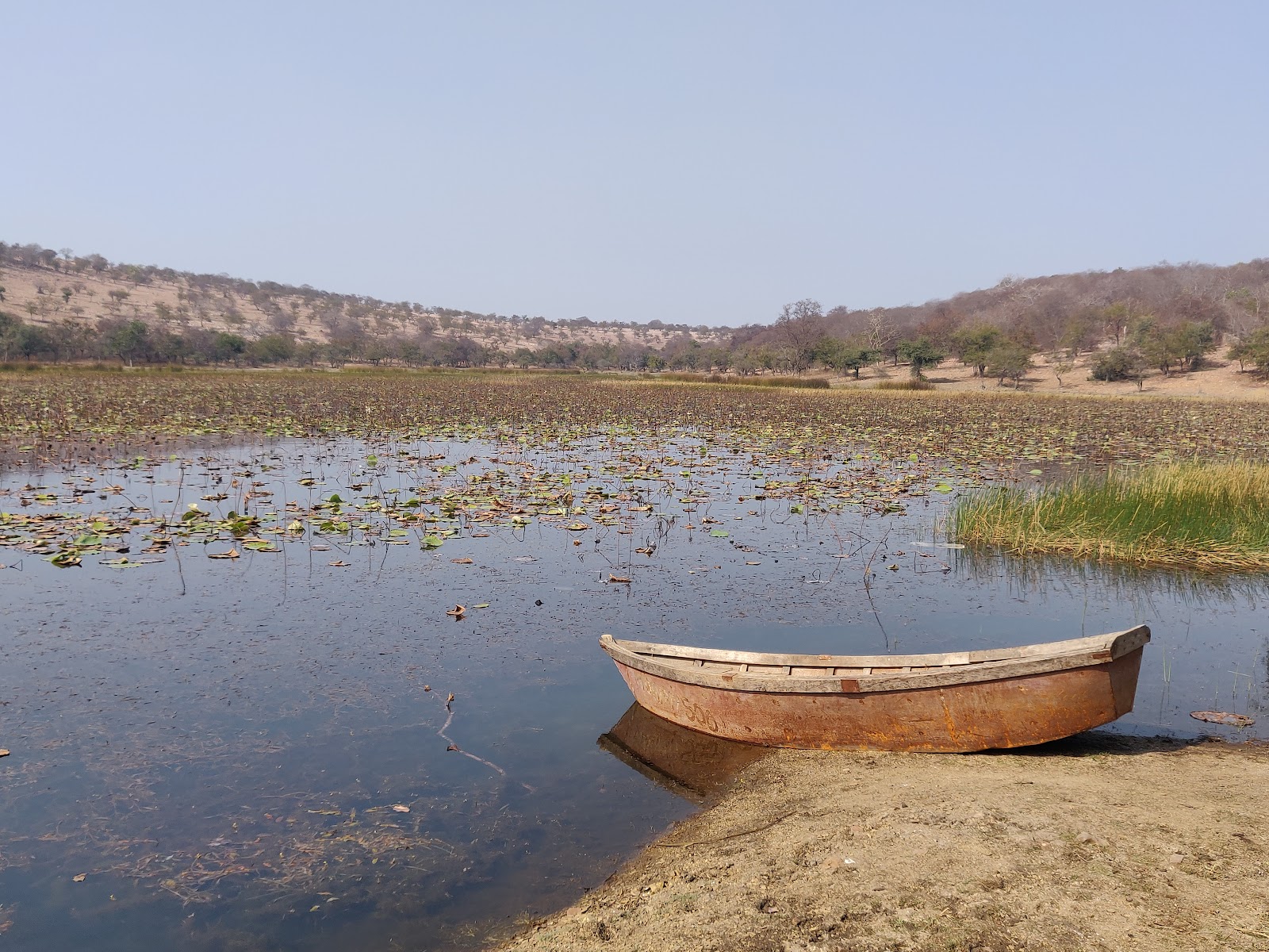 Bassi Wildlife Sanctuary