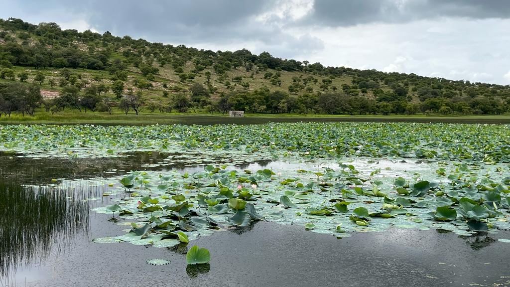 Bassi Wildlife Sanctuary