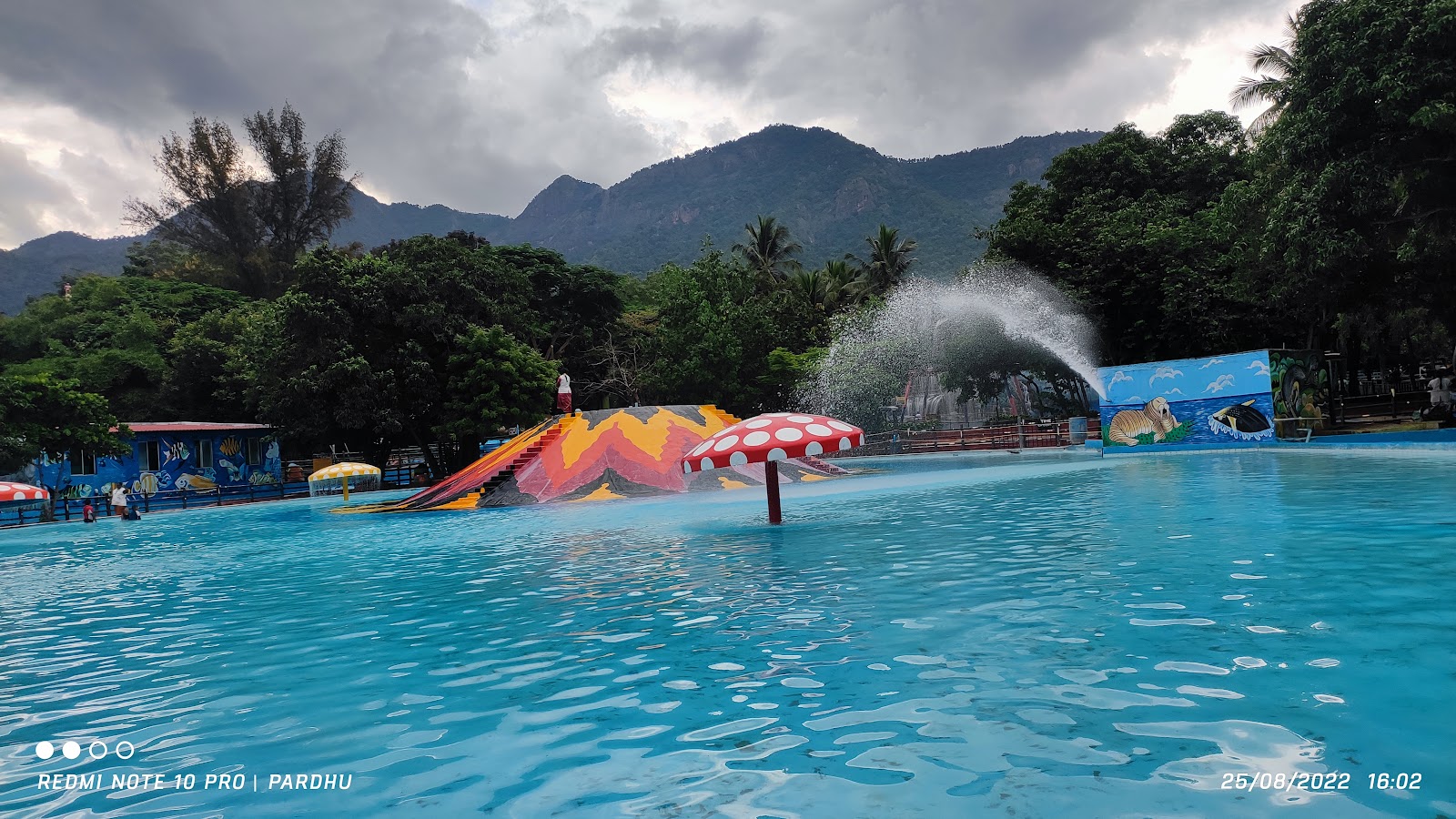 Mettupalayam, Tamil Nadu: Travel Guide, Things to Do & Tourist Spots