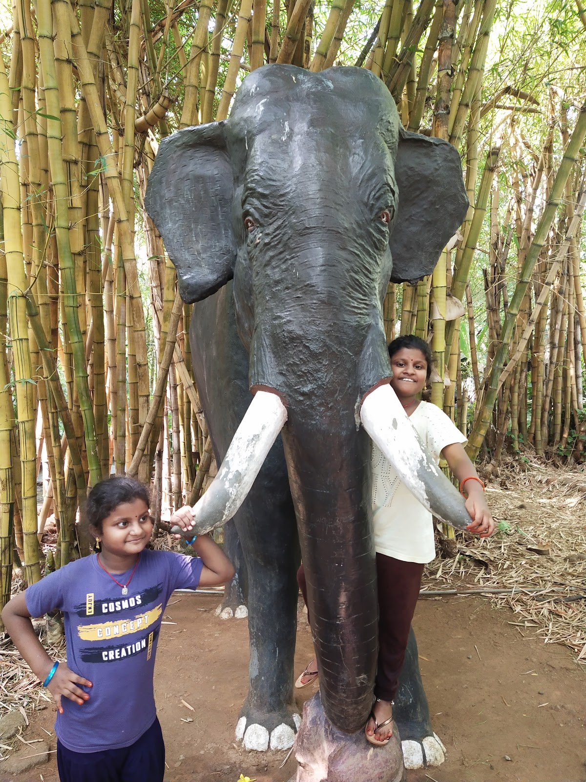 Black Thunder Theme Park