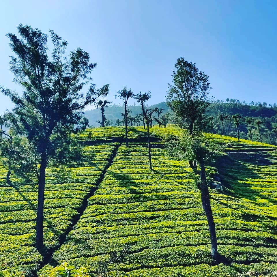 Nilgiri Mountain Railway