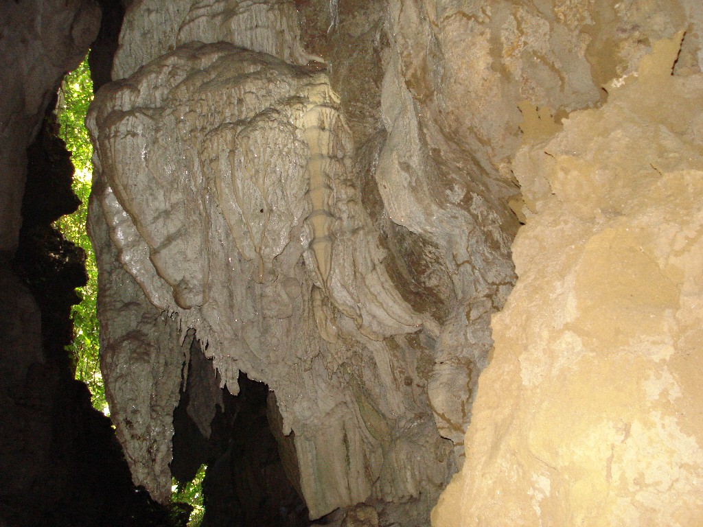 Middle Andaman - A Tropical Paradise